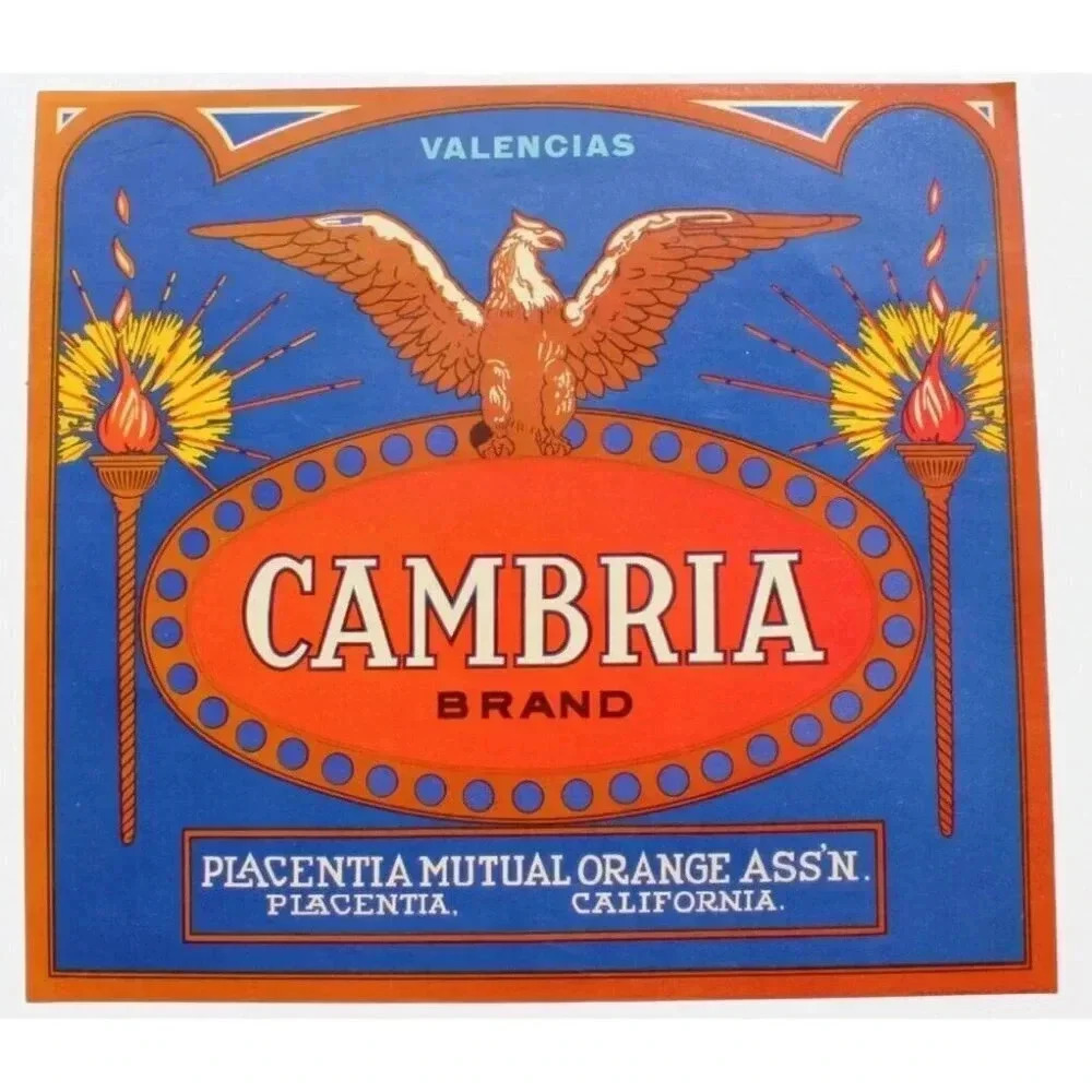 Vintage Cambria Brand Oranges Fruit Crate Label Valencias NOS
